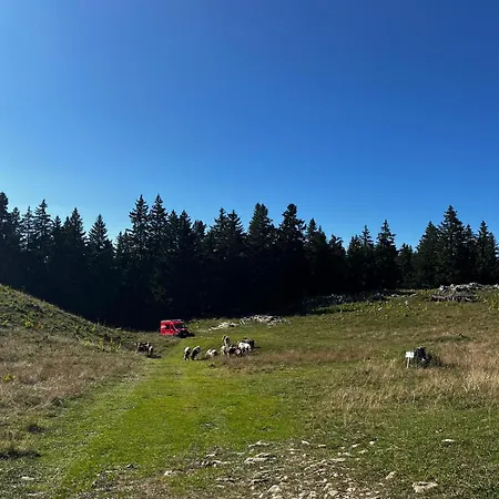 Eco Bivouac Village Igloos - Le Semnoz - A 20 Minutes D'annecy